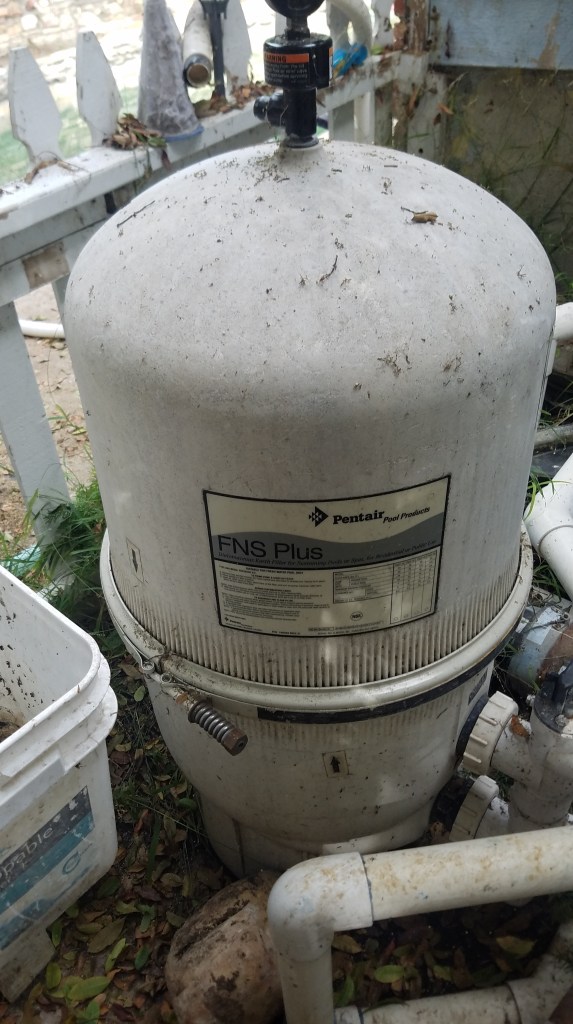 Cleaning the algae out of this guy will turn your brown pool blue.