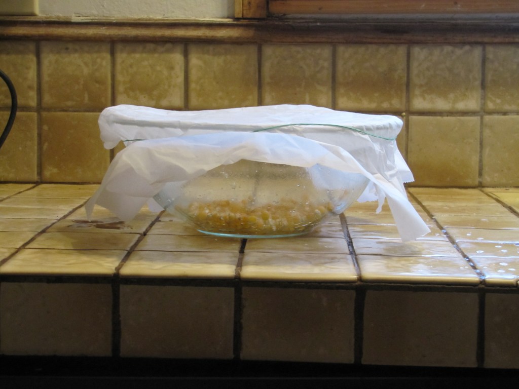 A microwave-safe bowl, a teaspoon of olive oil, a quarter cup of popcorn kernels, a parchment paper lid, and a rubber band is all you need to make your own microwave popcorn!