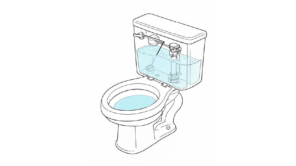 A cutaway line drawing of a standard toilet